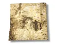 Tło do terrarium/pojemnika z naturalnej BRZOZY Birch Wall 15x15 6,49 zł