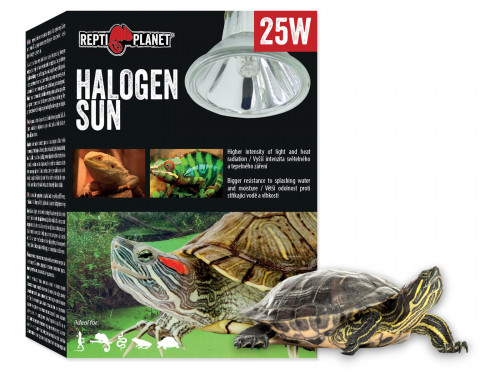 Żarówka grzewcza do terrarium halogen Sun 25W Repti Planet 29,99 zł