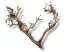 Małe gałązki HardTree, drzewka 5-25cm zestaw 4-6szt 16,00 zł