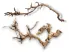 Małe gałązki HardTree, drzewka 5-25cm zestaw 4-6szt 16,00 zł