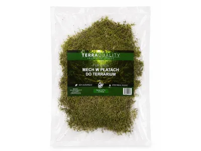 Mech naturalny do terrarium Flat Moss PŁATY 50g – dekoracja do terrarium, naturalny wystrój