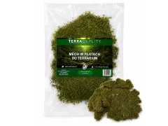 Mech naturalny do terrarium Flat Moss PŁATY 50g – dekoracja do terrarium, naturalny wystrój