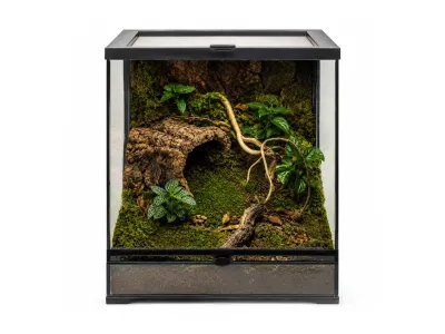 Mech naturalny do terrarium Flat Moss PŁATY 50g – dekoracja do terrarium, naturalny wystrój