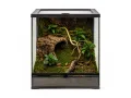 Mech naturalny do terrarium Flat Moss PŁATY 50g – dekoracja do terrarium, naturalny wystrój