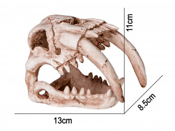 Czaszka tygrysa do terrarium 13x8,5x11 cm Sabertooth Skull Terrario 49,99 zł