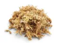 Mech torfowiec Sphagnum Spagmoss gotowy do użycia 1L – dekoracja do terrarium, naturalny