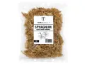 Mech torfowiec Sphagnum Spagmoss gotowy do użycia 1L – dekoracja do terrarium, naturalny