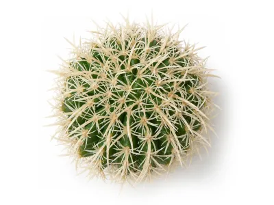 Sztuczna roślina do terrarium kaktus 15cm Barrel Cactus L