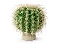 Sztuczna roślina do terrarium kaktus 15cm Barrel Cactus L