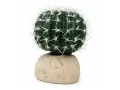 Sztuczna roślina do terrarium kaktus 9cm Barrel Cactus S