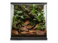 Liście Ketapangu 5szt – liść migdałecznika do akwarium i terrarium