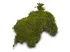 Mech naturalny do terrarium Flat Moss PŁATY 50g 17,00 zł