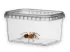 Pojemnik - 12x9x6,5 0,425L 4,00 zł
