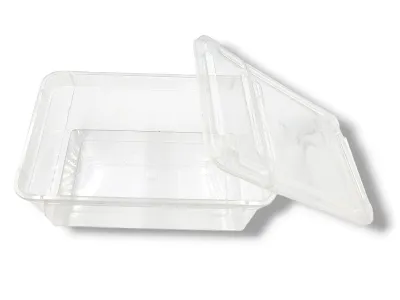 Pojemnik hodowlany BraPlast 1,3L łamana pokrywka - 19x12x7,5 10,00 zł