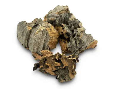 Ścinki - kora dębu korkowego Cork Bark Cuts 100g 8,99 zł