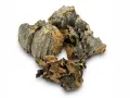 Ścinki - kora dębu korkowego Cork Bark Cuts 100g 8,99 zł