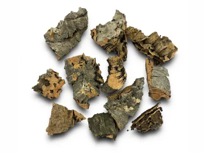 Ścinki - kora dębu korkowego Cork Bark Cuts 100g 8,99 zł