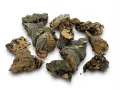 Ścinki - kora dębu korkowego Cork Bark Cuts 100g 8,99 zł