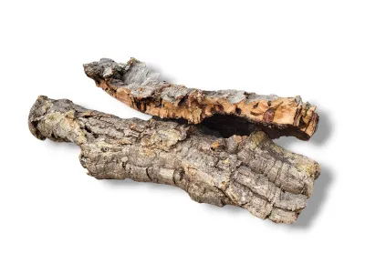 Płaty - kora dębu korkowego Cork Bark Flats 350g 21,49 zł
