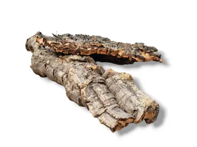 Płaty - kora dębu korkowego Cork Bark Flats 350g 21,49 zł