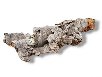 Płaty - kora dębu korkowego Cork Bark Flats 350g 21,49 zł