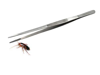 Pęseta terrarystyczna Hard Grip 20cm 22,00 zł