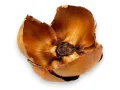 Kwiat palmy Palm Cup 8-10cm - susz egzotyczny 3,00 zł