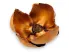 Kwiat palmy Palm Cup 8-10cm - susz egzotyczny 3,00 zł