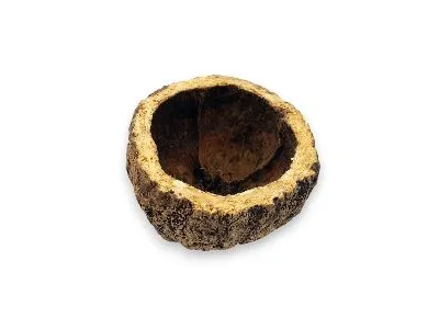 Skorupa Ourico - gniazdo, kryjówka 8-10cm 9,00 zł