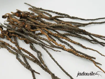 Gałęzie COCO small 30-40cm - 25szt 18,00 zł