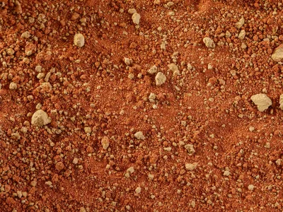 Piasek z gliną czerwone podłoże do terrarium Stone Desert 5kg Exo Terra 54,99 zł