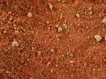 Piasek z gliną czerwone podłoże do terrarium Stone Desert 5kg Exo Terra 54,99 zł