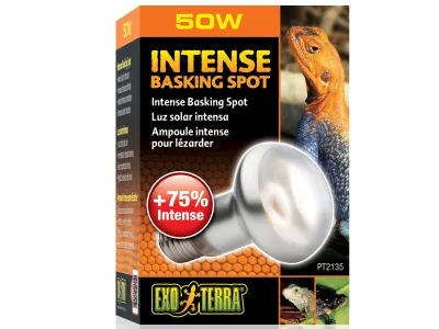 Żarówka grzewcza Intense Basking Spot 50W Exo Terra 34,99 zł