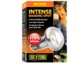 Żarówka grzewcza Intense Basking Spot 50W Exo Terra 34,99 zł