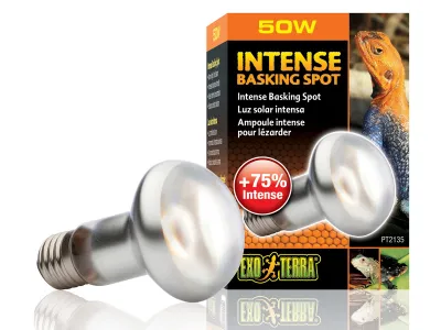 Żarówka grzewcza Intense Basking Spot 50W Exo Terra 34,99 zł