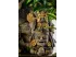 Wodospad Aztec Sacred Maize Waterfall18,5x25cm Exo Terra 219,90 zł