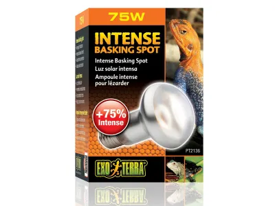 Żarówka grzewcza Intense Basking Spot 75W Exo Terra 34,99 zł