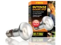 Żarówka grzewcza Intense Basking Spot 75W Exo Terra 34,99 zł