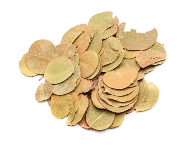 Liście do terrarium Round Leaves do detailingu - 30g 12,00 zł