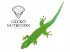 Gecko Nutrition - Figa 39,90 zł