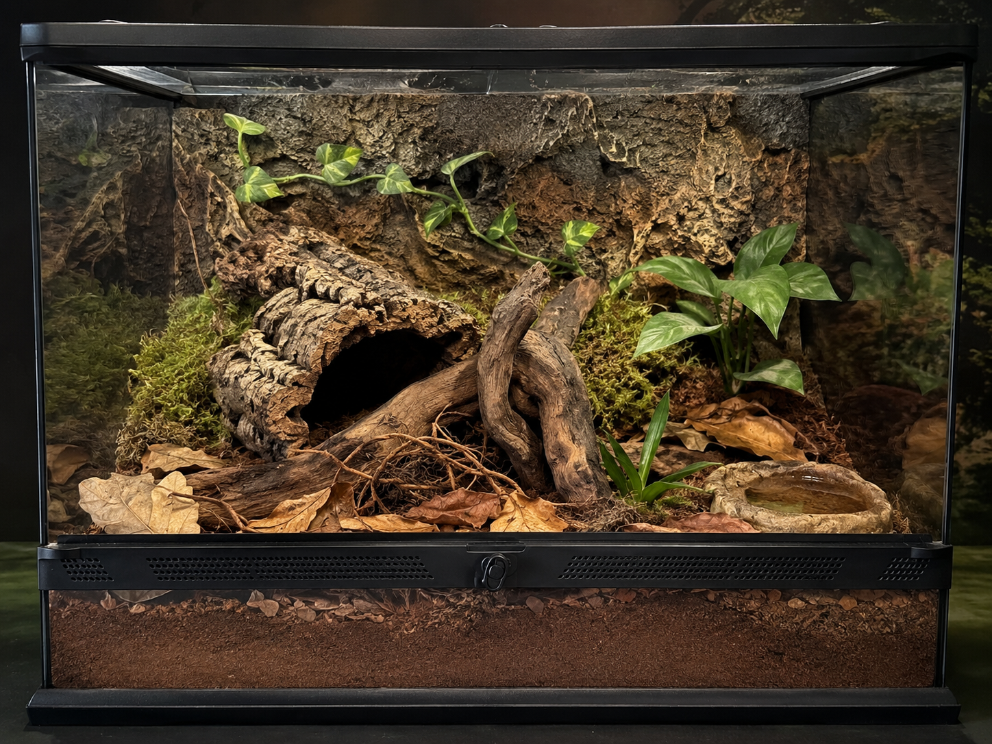 Jak wyposażyć terrarium dla ptasznika? Podłoże, kryjówki i wystrój